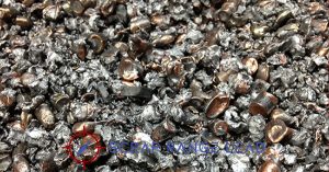Recycling Certification Importance