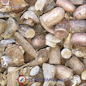 Why You Should Recycle Scrap Ammunition