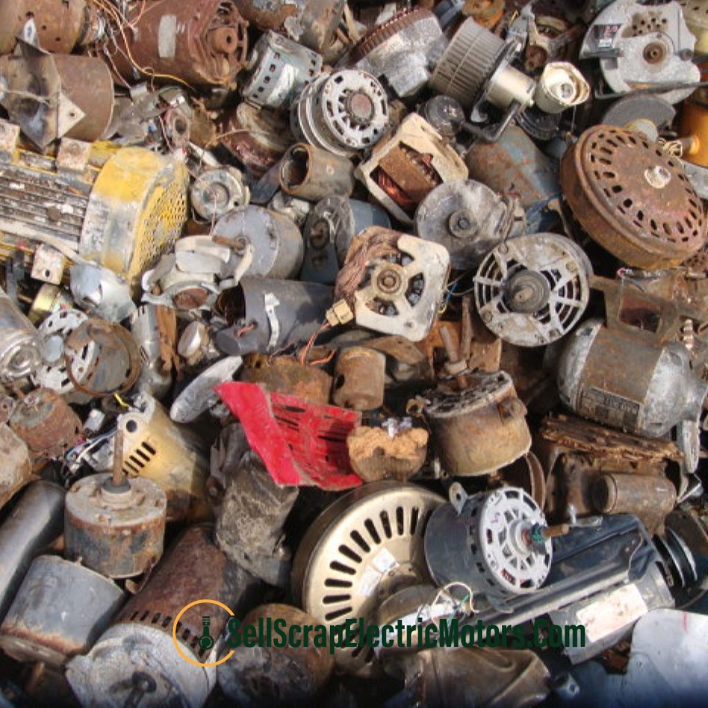 The Components of Electric Motors Service